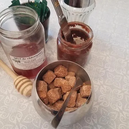 Château Besson Couette-café Desertines (Allier)